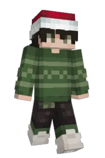 Viimsi Minecraft avatar full body