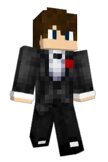 Vill03 Minecraft avatar full body