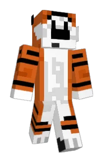 Ville1994 Minecraft avatar full body