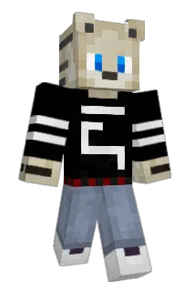 VilonYT Minecraft avatar full body