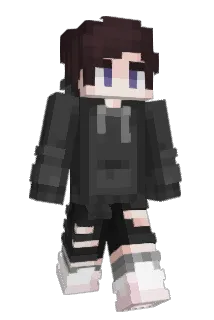 VinSlip Minecraft avatar full body