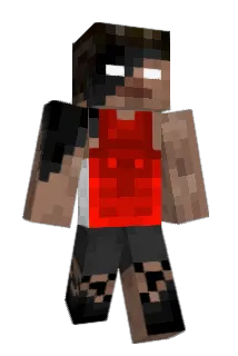 VincentNL028 Minecraft avatar full body