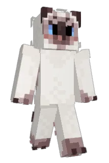 Vinegarette Minecraft avatar full body