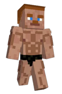 Vinemen Minecraft avatar full body