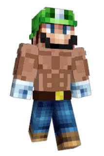 Vini05 Minecraft avatar full body