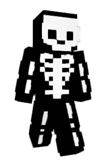 Vinifrel Minecraft avatar full body