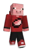 Vinisss Minecraft avatar full body