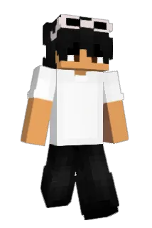 VinniPo Minecraft avatar full body