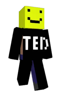 Vinny1308 Minecraft avatar full body