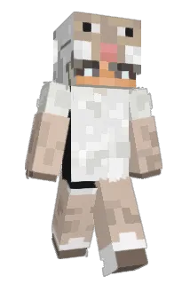 Vinsainty Minecraft avatar full body