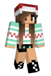 Vintagebudder Minecraft avatar full body