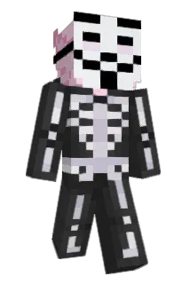 VinyAmoeba Minecraft avatar full body