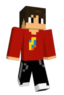 VinyFlash Minecraft avatar full body