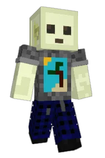 Viodrakon Minecraft avatar full body