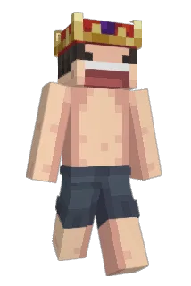 Vionly Minecraft avatar full body