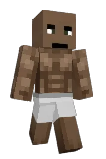 Vir_Go Minecraft avatar full body