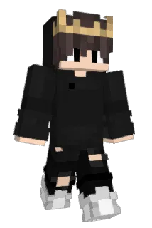 VirgiFi Minecraft avatar full body