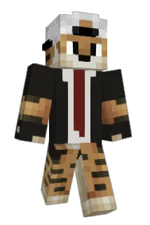 Virilman95 Minecraft avatar full body