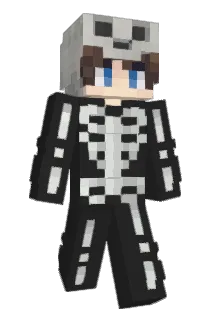 Vision1615 Minecraft avatar full body