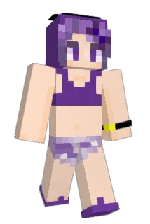 VisualFan327 Minecraft avatar full body