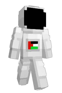 Vital5 Minecraft avatar full body