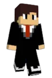 VitalGames Minecraft avatar full body