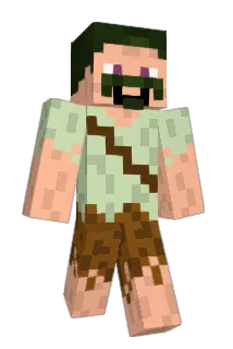 Vitaminer Minecraft avatar full body