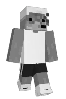 Vitsss_ Minecraft avatar full body