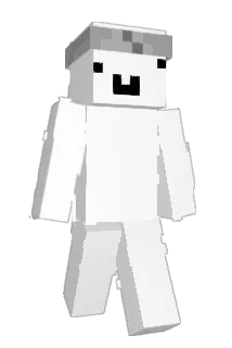 Viv1dz Minecraft avatar full body