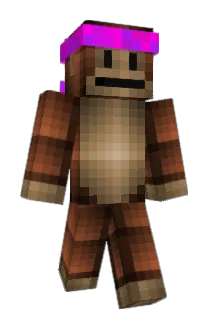 Vivizadah Minecraft avatar full body