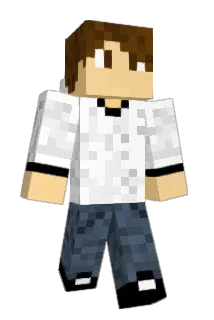 Vivolus Minecraft avatar full body