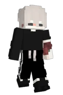 Vivotin Minecraft avatar full body