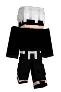 Vixeen_166 Minecraft avatar full body