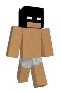 Vixoation Minecraft avatar full body