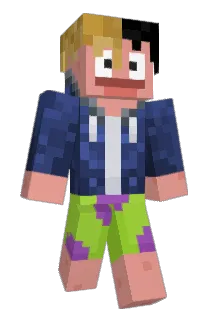 Vixocon Minecraft avatar full body