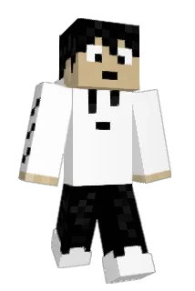 Vize215 Minecraft avatar full body