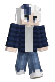 VizualSnow Minecraft avatar full body