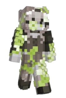Vizzy511 Minecraft avatar full body