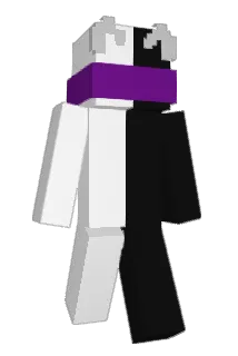 Vn1s Minecraft avatar full body