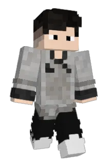 Vn_Vinn Minecraft avatar full body