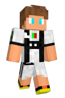 Void818 Minecraft avatar full body