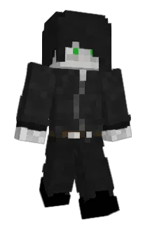 VoidGaming Minecraft avatar full body