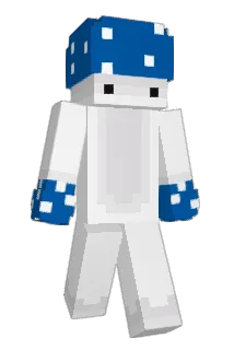 VoidImperial Minecraft avatar full body