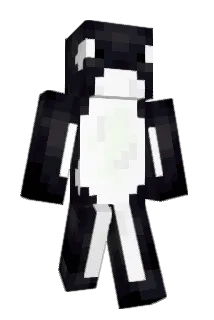 VoidMageOrca Minecraft avatar full body