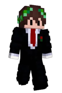 VoidSupress Minecraft avatar full body