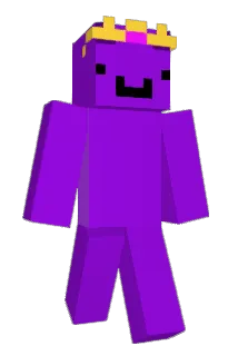 VoidWYD Minecraft avatar full body