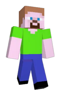Vort5700 Minecraft avatar full body