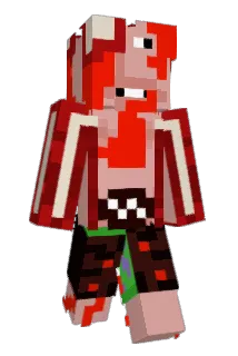 VortexBrother Minecraft avatar full body