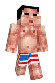 Vortigona Minecraft avatar full body