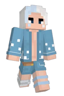 Vortord Minecraft avatar full body